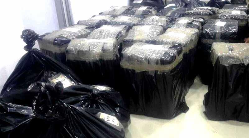 droga 2 mar web Incauta PGJE 751 kilos de marihuana en cateo en Chula Vista