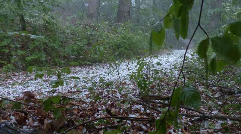 Prevén tormentas muy fuertes con granizo en Puebla, Veracruz y Oaxaca Prevén tormentas muy fuertes con granizo en Puebla, Veracruz y Oaxaca
