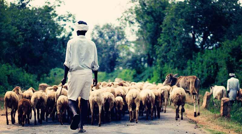 Claves los pueblos indígenas en conservación de vida silvestre: FAO Claves los pueblos indígenas en conservación de vida silvestre: FAO
