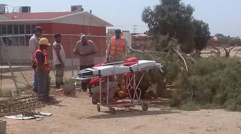 lecaearbolencima Le cae árbol encima a trabajador de la construcción en La Paz