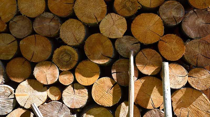 La madera, el recurso renovable que abastece más energía que el Sol La madera, el recurso renovable que abastece más energía que el Sol