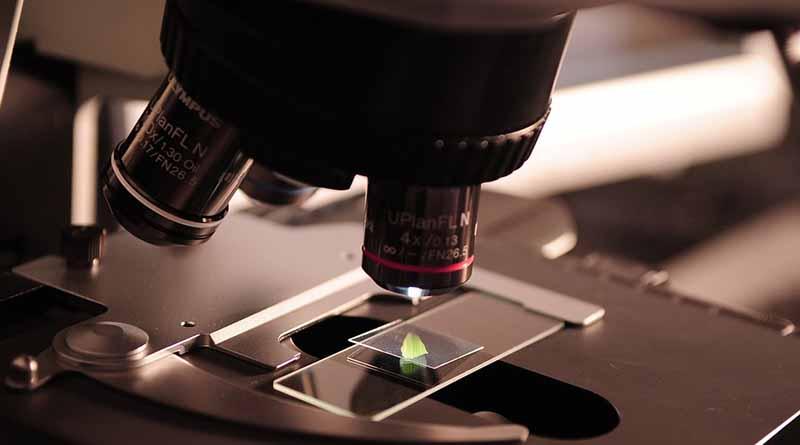 Nombran a universitario mexicano como embajador de la Asociación Americana de Microbiología Nombran a universitario mexicano como embajador de la Asociación Americana de Microbiología