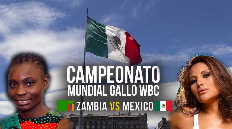 Boxeo femenil encabeza histórica función en Zócalo capitalino Boxeo femenil encabeza histórica función en Zócalo capitalino