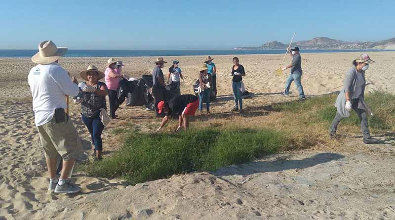 Se realizó jornada de limpieza en playas de la zona hotelera en San José del Cabo Se realizó jornada de limpieza en playas de la zona hotelera en San José del Cabo