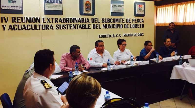 Reitera SEPADA compromiso con el desarrollo pesquero de Loreto Reitera SEPADA compromiso con el desarrollo pesquero de Loreto