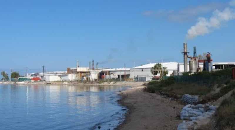 Conservera San Carlos no se Cierra, Ni se Va: PG Conservera San Carlos no se Cierra, Ni se Va: PG