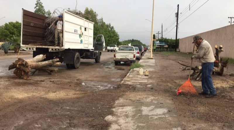 En Período Vacacional, Recolección de Basura Seguirá Trabajo Normal: MAV En Período Vacacional, Recolección de Basura Seguirá Trabajo Normal: MAV