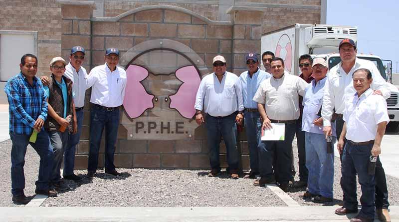 Fortalecerán SEPADA y FND fuentes crediticias para los sectores productivos primarios Fortalecerán SEPADA y FND fuentes crediticias para los sectores productivos primarios