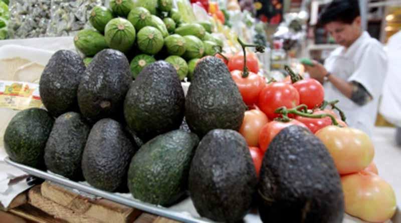 aguacate Menor producción y mayor demanda mundial, causas del alza en el precio del aguacate