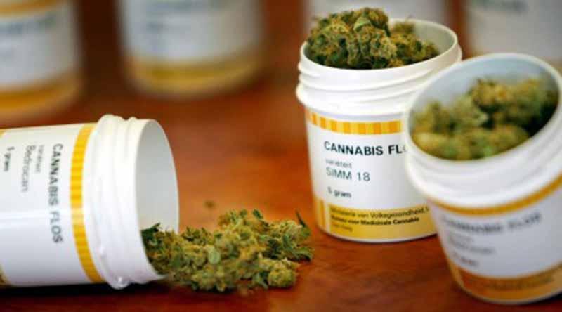 marihuana Chile es el primer país latinoamericano en vender fármacos de cannabis