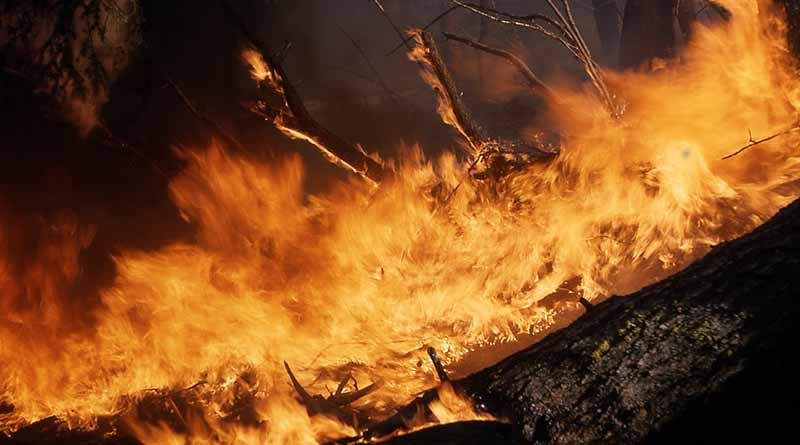 Desalojan a diez mil personas en Francia por incendio Desalojan a diez mil personas en Francia por incendio
