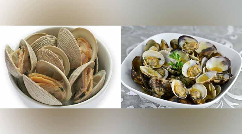 Diversas Muestras Gastronómicas y Exposiciones en la Expo Comondú 2017 Diversas Muestras Gastronómicas y Exposiciones en la Expo Comondú 2017