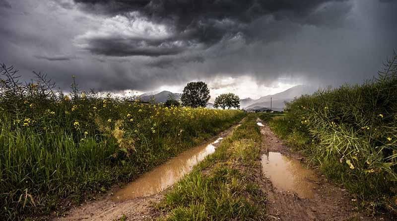 Onda tropical 19 y zona de inestabilidad ocasionarán lluvias en todo el país Onda tropical 19 y zona de inestabilidad ocasionarán lluvias en todo el país