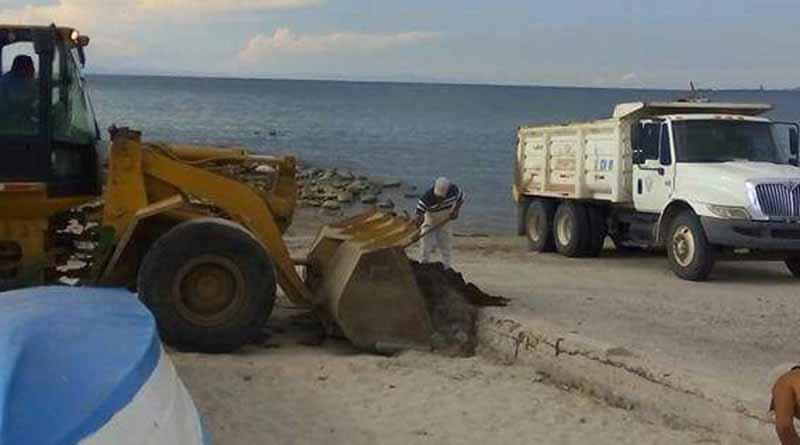 Las playas de La Paz se encuentran en óptimas condiciones para disfrutar en este período vacacional de verano: Martín Guluarte Ceseña Las playas de La Paz se encuentran en óptimas condiciones para disfrutar en este período vacacional de verano: Martín Guluarte Ceseña