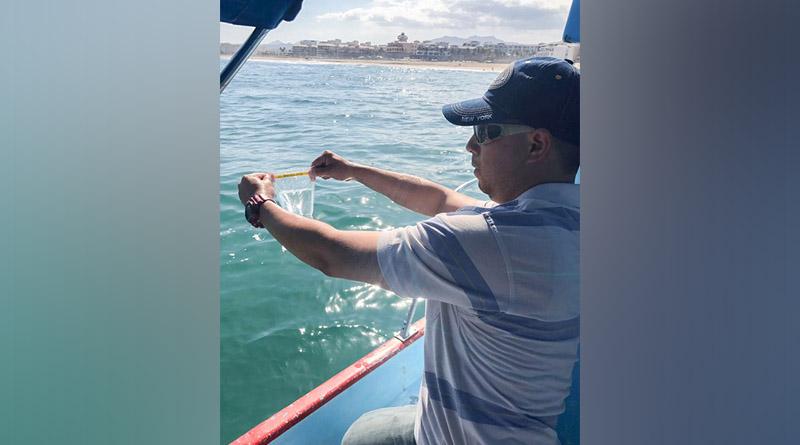 Playas de Los Cabos en condiciones óptimas para su uso recreativo: SSA de BCS Playas de Los Cabos en condiciones óptimas para su uso recreativo: SSA de BCS