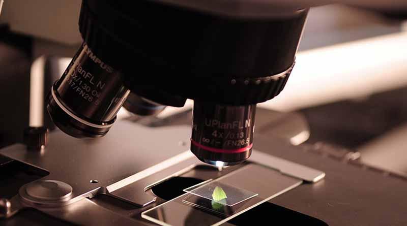 Premian a mexicanas por sus investigaciones sobresalientes en microbiología Premian a mexicanas por sus investigaciones sobresalientes en microbiología