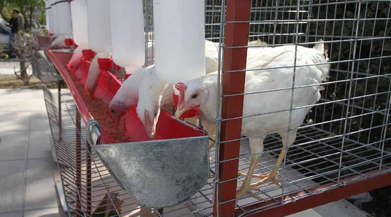 Ponen en marcha programa el campo en nuestras manos Ponen en marcha programa el campo en nuestras manos