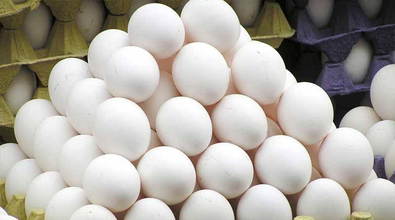 Francia retira de mercados productos fabricados con huevos contaminados Francia retira de mercados productos fabricados con huevos contaminados