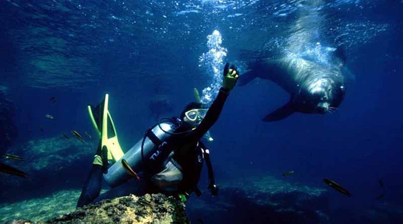 BUCEO La Paz se posiciona como destino incluyente en México con el evento "Buceotón 2017"