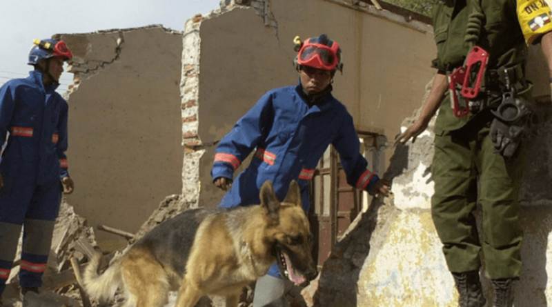 Binomios perro-humano de la UNAM salvan vidas Binomios perro-humano de la UNAM salvan vidas