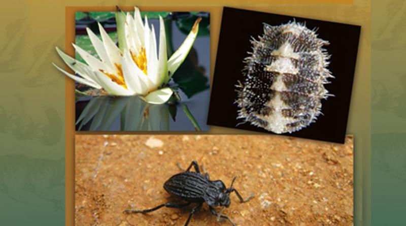 UNAM obtiene reconocimiento por la conservación de la biodiversidad UNAM obtiene reconocimiento por la conservación de la biodiversidad