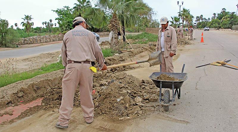 Realiza Servicios Públicos Municipales saneamiento de avenida centenario con barrido manual Realiza Servicios Públicos Municipales saneamiento de avenida centenario con barrido manual