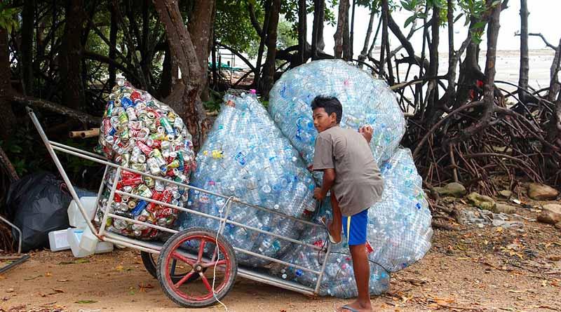 México, líder en manejo y reciclaje de PET a nivel mundial México, líder en manejo y reciclaje de PET a nivel mundial