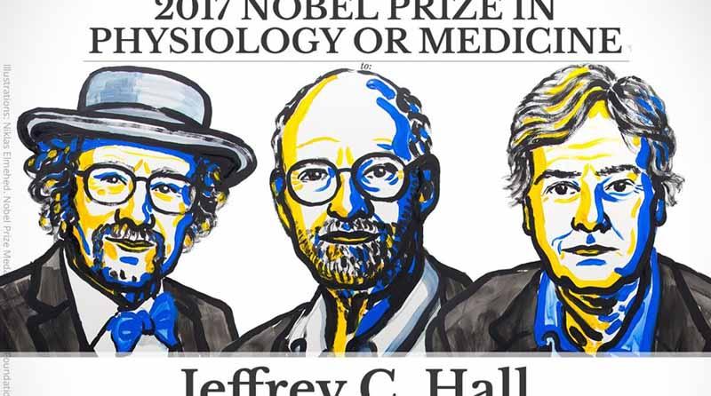 premionobel Premio Nobel de Medicina 2017 para descubridores del reloj biológico