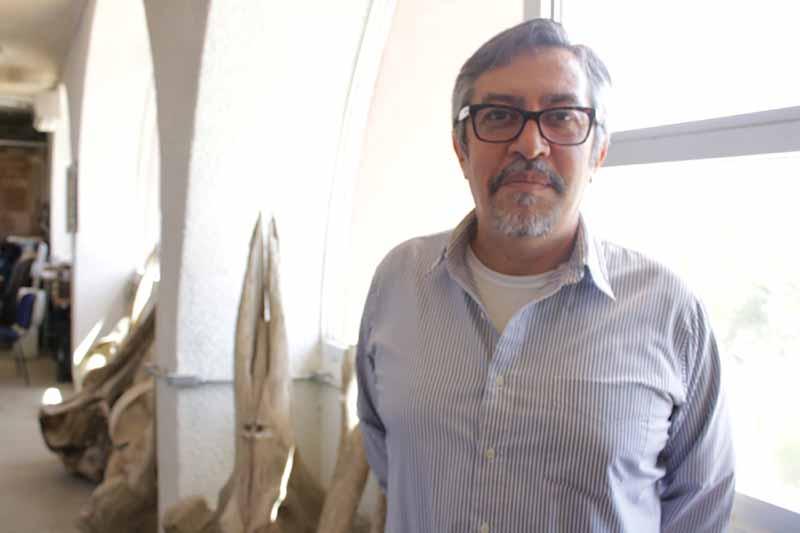 fosilesuabcs Llevan a cabo en la UABCS proyecto para buscar fósiles marinos en cuenca de San José del Cabo