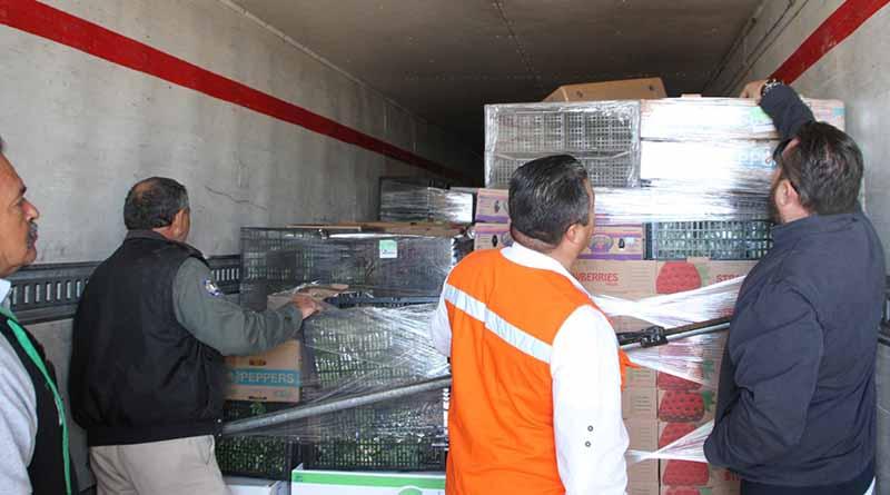 Fortalecen medidas sanitarias para la introducción de productos alimenticios a BCS Fortalecen medidas sanitarias para la introducción de productos alimenticios a BCS