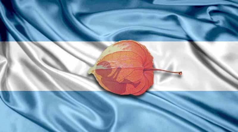 Legalizar aborto, principal demanda en Día de la Mujer en Argentina Legalizar aborto, principal demanda en Día de la Mujer en Argentina