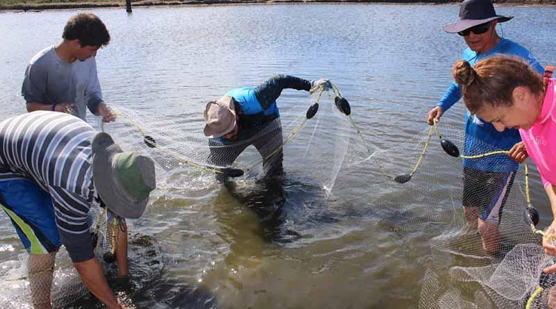 acuiculturauabcs Investigadora de la UABCS destaca importancia de la Acuicultura en la solución de problemas de manera sustentable