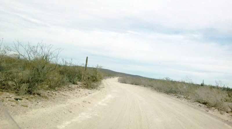 brecha Localizan restos de osamenta en Comondú