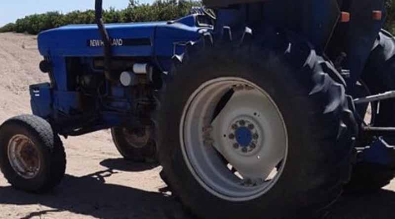 enjambre En Ciudad Constitución, agricultor muere por ataque de abejas