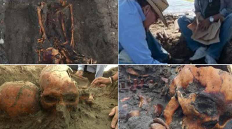 restosprehispanicos Investigadores de Politécnico hallan restos humanos prehispánicos en BCS