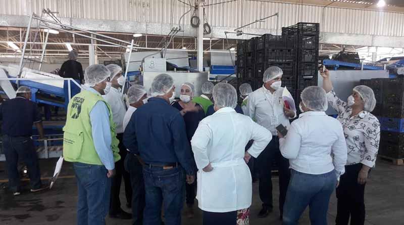 Reforzará COEPRIS la vigilancia sanitaria de frutas y hortalizas Reforzará COEPRIS la vigilancia sanitaria de frutas y hortalizas