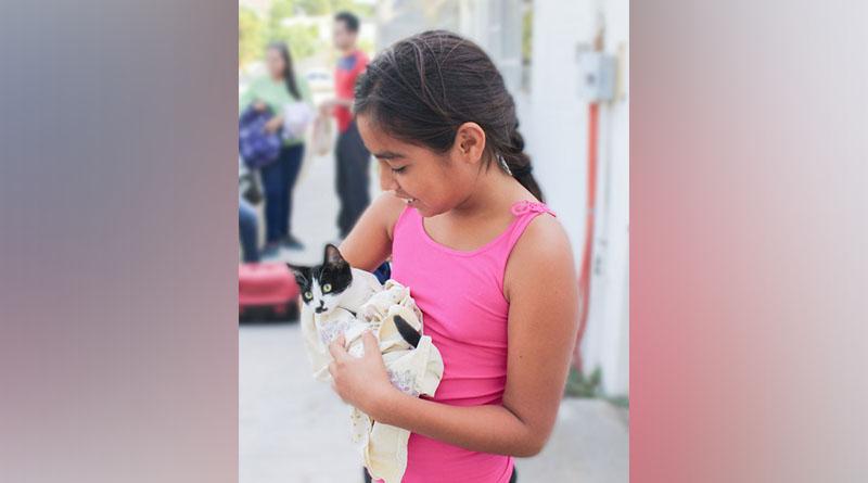 Realizarán esterilizaciones caninas y felinas en Comondú y Loreto Realizarán esterilizaciones caninas y felinas en Comondú y Loreto