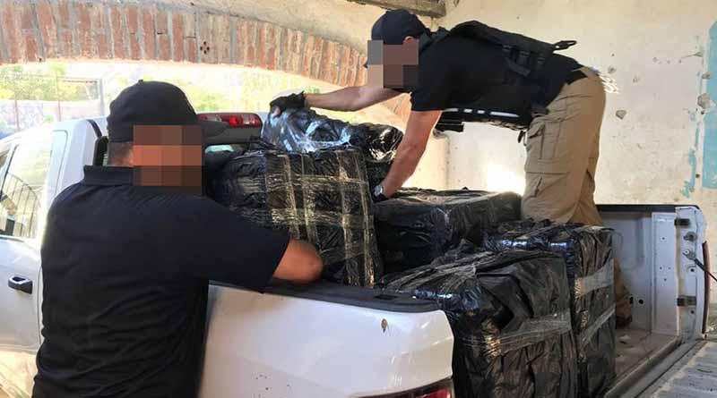aseguramarihuana En cateo, PGJE asegura 380 kilos de marihuana en La Paz