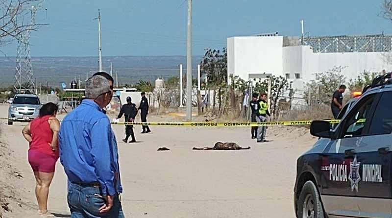 cuerpodescompuesto Dejan tirado cuerpo en estado de descomposición en brecha de colonia La Pasión