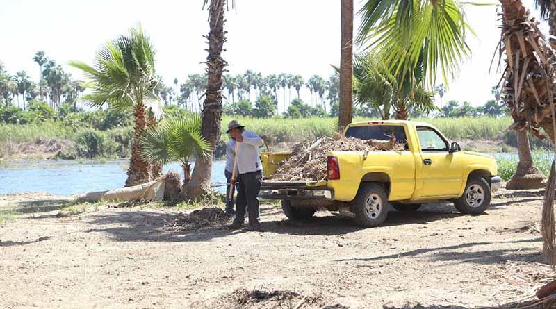 estero El material vegetativo que se retira del Estero Josefino, es donado a 2 viveros de SJC