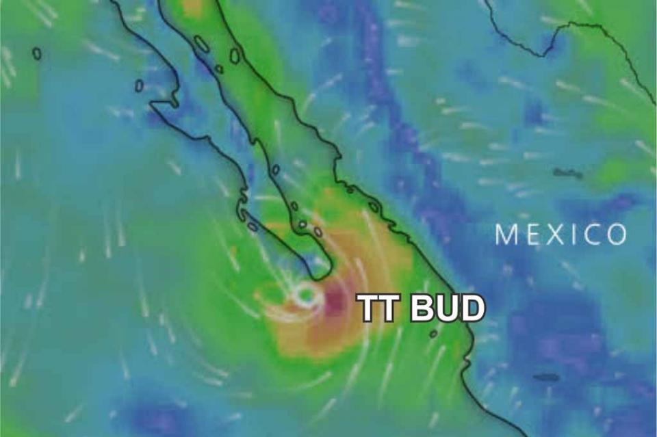 Por efectos de TT BUD cierran puertos sudcalifornianos a toda navegación Por efectos de TT BUD cierran puertos sudcalifornianos a toda navegación