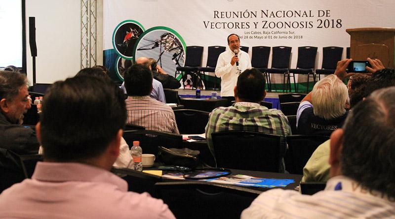 Reducir los casos autóctonos de dengue es meta del método Wolbachia en BCS Reducir los casos autóctonos de dengue es meta del método Wolbachia en BCS