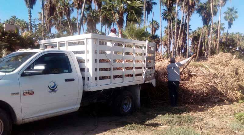 esterobasura Se retira material combustible en el Estero Josefino