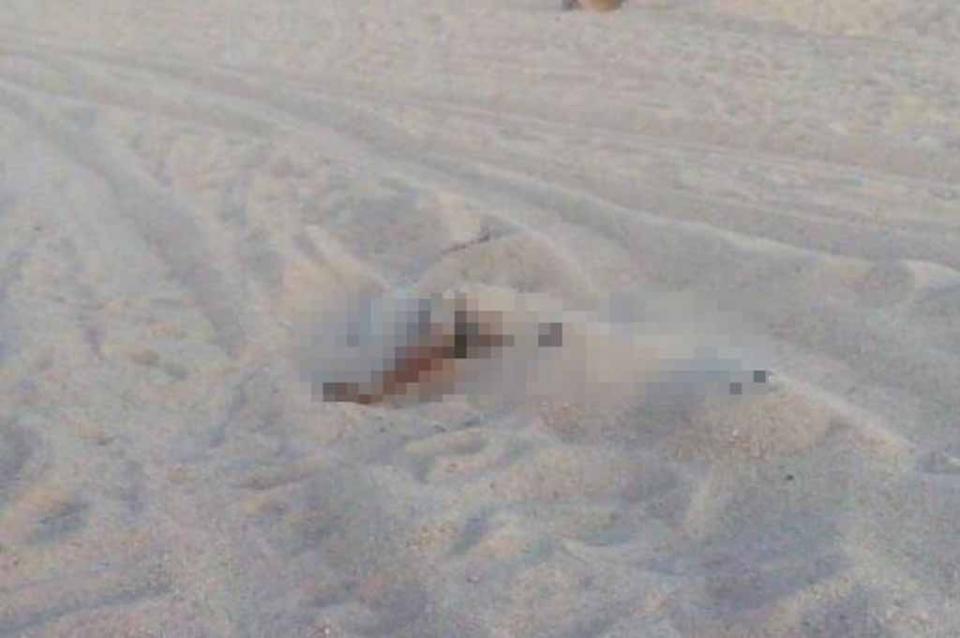 muertolapaz Localizan a una persona sin vida en un rancho de La Paz