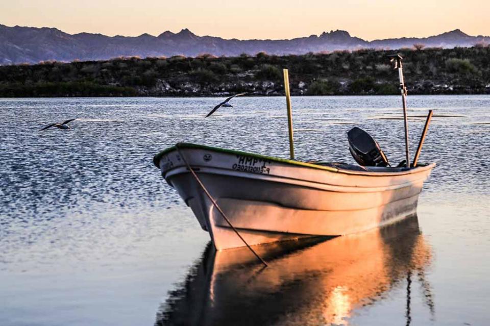 PESCA Avanza Gobierno Municipal en la creación de la Dirección Municipal de Pesca