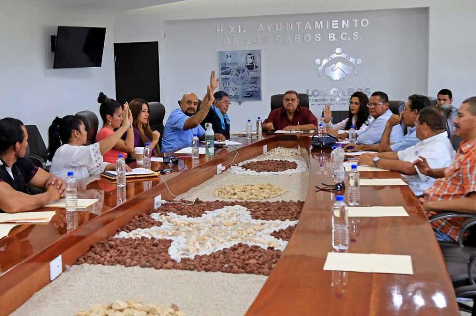 PRO ANIMAL Avanza Comité Pro Animal de Los Cabos, propone campaña de conscientización