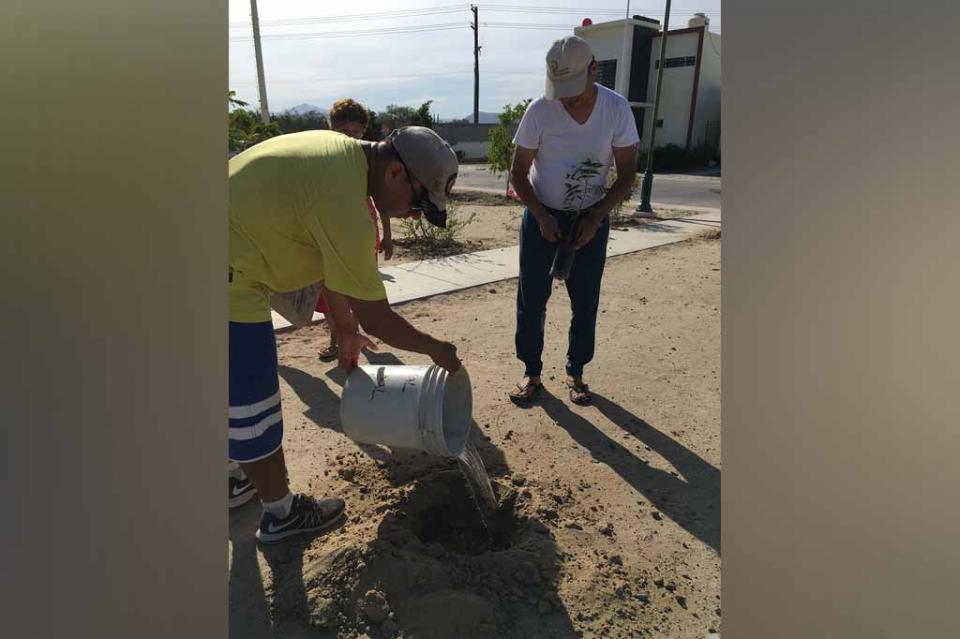 Se realiza acciones de reforestación Se realiza acciones de Reforestación