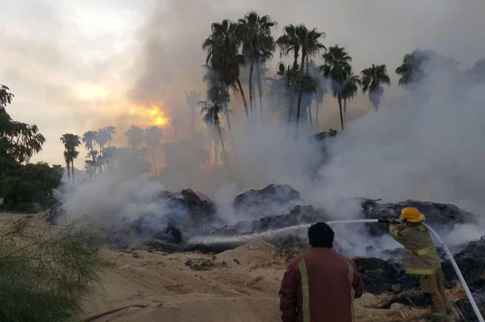 incendioestero Se queman alrededor de 200 metros de palmas y ramas en Guaymitas