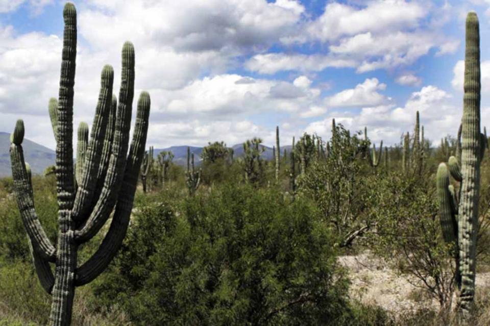 patrimonio México, el país de América con más sitios Patrimonio de la Humanidad