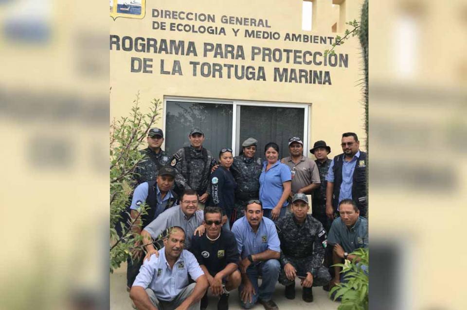 tortugasmarina Se suma Gendarmería a los trabajos de protección y vigilancia de la tortuga marina